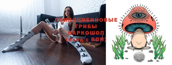 шишки Елабуга