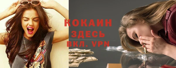шишки Елабуга