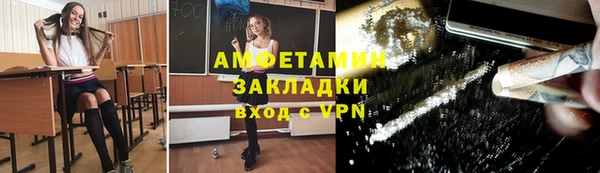 амф Ельня