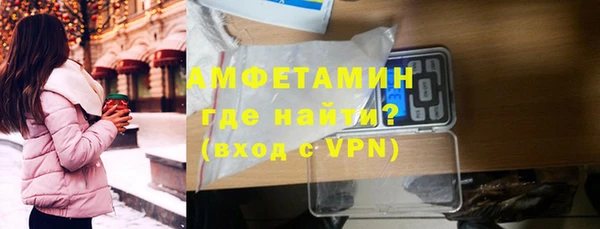 амф Ельня