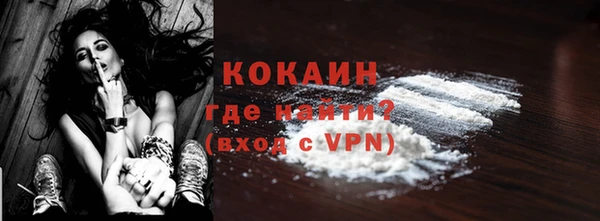 амф Ельня