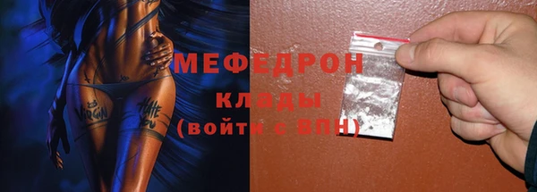 амф Ельня