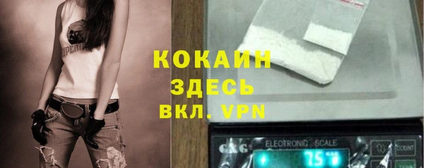 амф Ельня