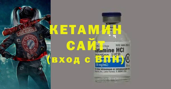 амф Ельня