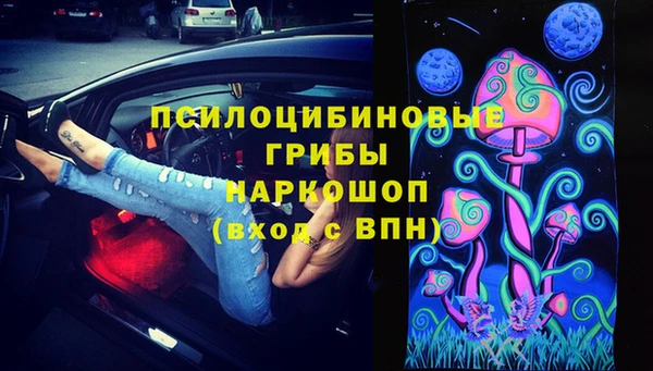 шишки Елабуга