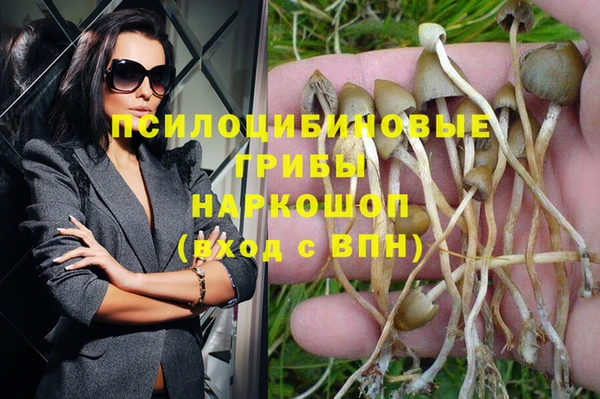 шишки Елабуга