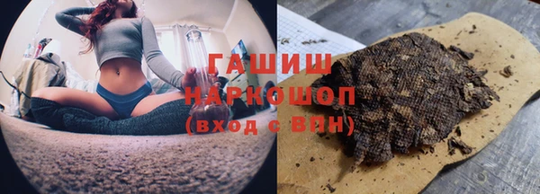 амф Ельня