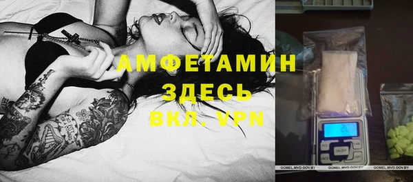 амф Ельня