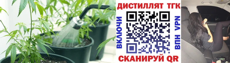 цена наркотик  Пласт  Дистиллят ТГК вейп 