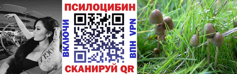 Псилоцибиновые грибы мицелий  Пласт 